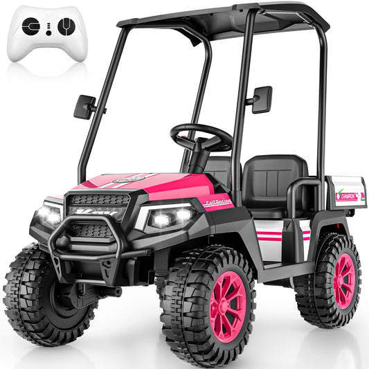 AceCruisers 24v ride on toys for Big Kids w/0.72 ft³ Large Storage Trunk, 4WD 20” 2 Seater Kids Golf Cart w/Detachable Roof, 2 Speeds, Music & Remote Control, LED Lights for Kids Ages 3-8(Pink)